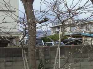 CIMG1668_R
