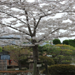 IMG_3417_R