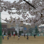 IMG_3420_R