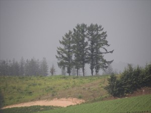 IMG_3953_R