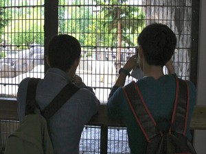 IMG_4074_R