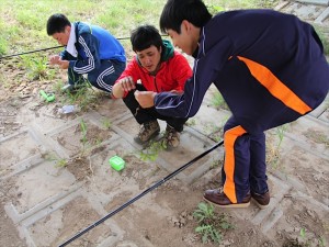 IMG_4108_R