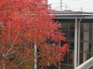 IMG_7222_R