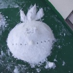 DSCF9361